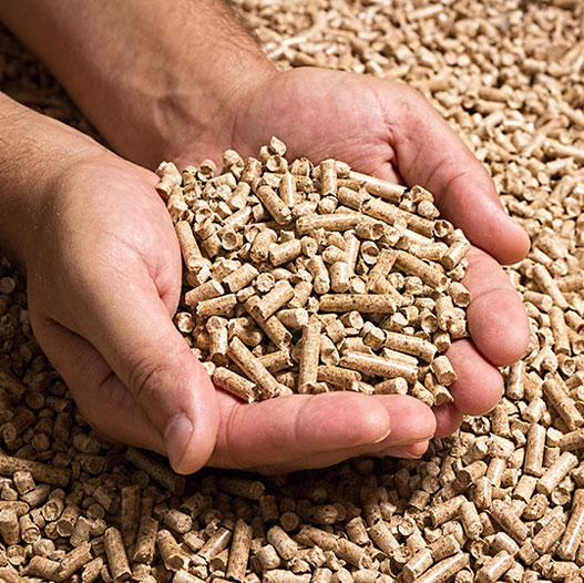 Holzpellets